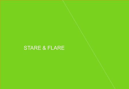 STARE & FLARE. THE MAIN ISSUES  Environmental emergency in Borneo, Indonesia  Deforestation – bad effects for the environment and the creatures living.