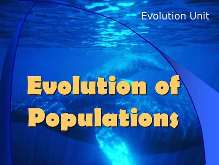 Evolution of Populations Evolution Unit. Population What is a population? Number of Individuals of the Same Species that Live together in one area or.