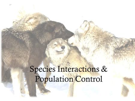Species Interactions & Population Control. Five Major Interactions Interspecific Competition Predation Parasitism Mutualism Commensalism.