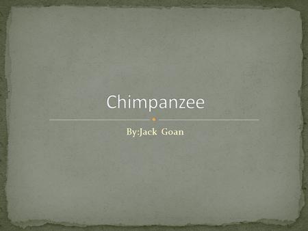 By:Jack Goan. Chimpanzees are very smart. They know how to make and use tools. In fact they are the animal closest to a human. Chimps are also very easy.