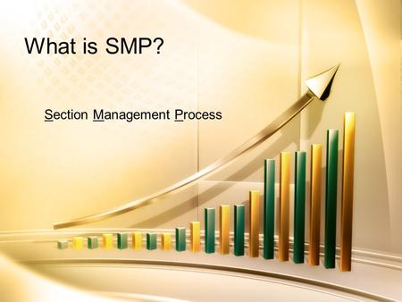 What is SMP? Section Management Process. SMP Introduction Process that emphasizes: –Assessing member needs – Management/business plan –Section performance.