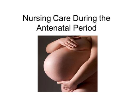 Nursing Care During the Antenatal Period. A & P of Pregnancy Terms to know Gravida Parity Nulliparous Multiparous Term TPAL.