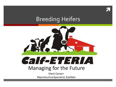  Breeding Heifers Mark Carson Reproductive Specialist, EastGen.