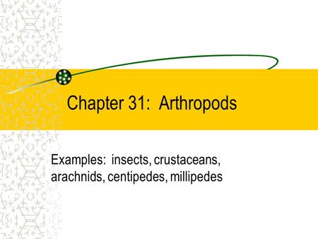 Examples: insects, crustaceans, arachnids, centipedes, millipedes