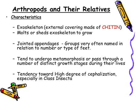 Arthropods and Their Relatives