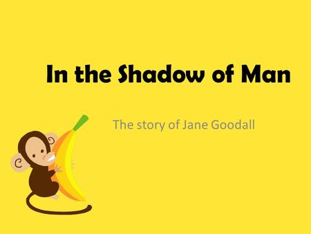 In the Shadow of Man The story of Jane Goodall Jane’s Childhood Born in 1934 England Has one younger sister, Judy Received a stuffed chimp named Jubilee.