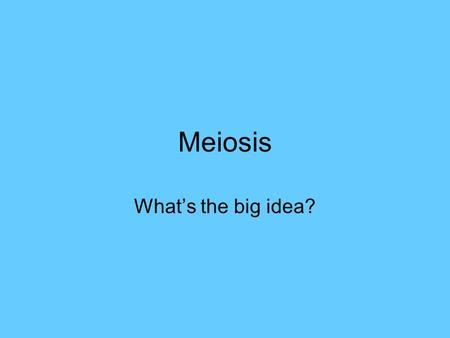 Meiosis What’s the big idea?.