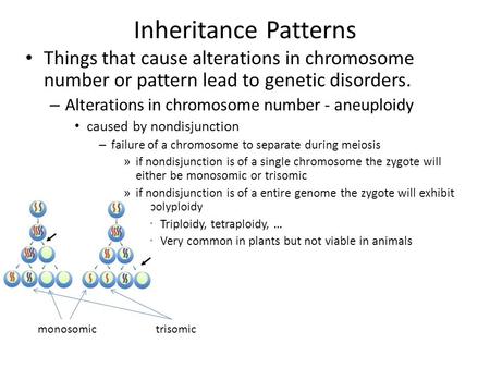 Inheritance Patterns Things that cause alterations in chromosome number or pattern lead to genetic disorders. – Alterations in chromosome number - aneuploidy.