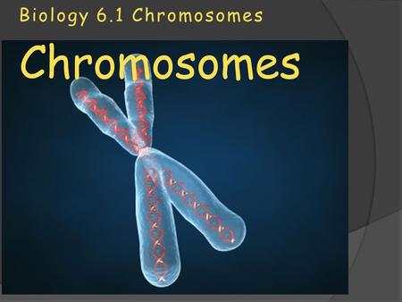 Biology 6.1 Chromosomes Chromosomes. Key ideas we will cover today...  Students will... ○ Differentiate between a gene, a DNA molecule, a chromosome,