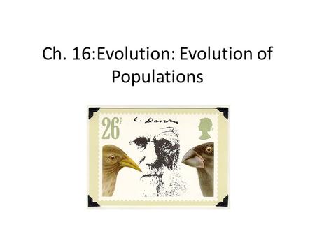 Ch. 16:Evolution: Evolution of Populations. Section 16-1: Genes & Variation I. Terms to Know A. Population- a group of individuals belonging to the same.