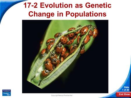 16-2 Evolution as Genetic Change