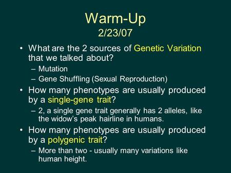 Warm-Up 2/23/07 What are the 2 sources of Genetic Variation that we talked about? –Mutation –Gene Shuffling (Sexual Reproduction) How many phenotypes are.