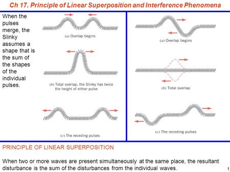 Ch 17. Principle of Linear Superposition and Interference Phenomena When the pulses merge, the Slinky assumes a shape that is the sum of the shapes of.