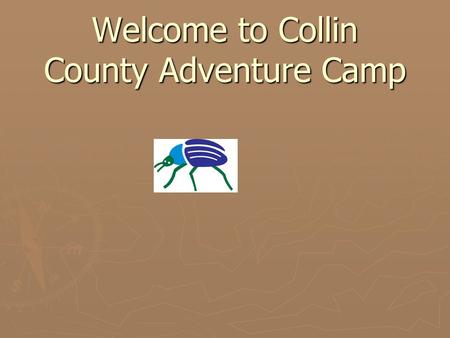 Welcome to Collin County Adventure Camp