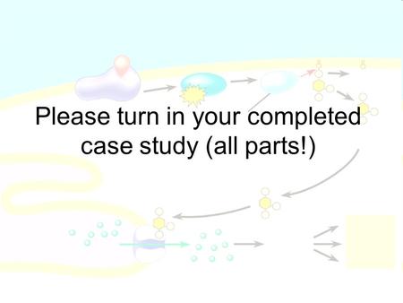 Please turn in your completed case study (all parts!)