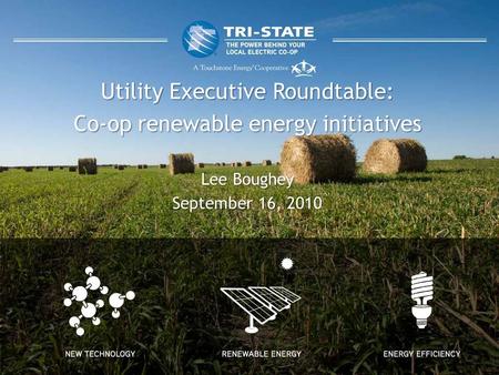 Utility Executive Roundtable: Co-op renewable energy initiatives Lee Boughey September 16, 2010.