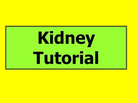 Kidney Tutorial.  php  majorsbiology/kidney.html Go.