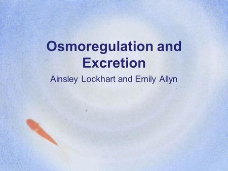 Osmoregulation and Excretion Ainsley Lockhart and Emily Allyn.