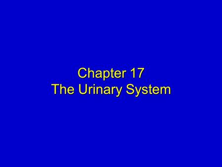 Chapter 17 The Urinary System. Elsevier items and derived items © 2008, 2004 by Mosby, Inc., an affiliate of Elsevier Inc. Slide 2 KIDNEYS  Location—under.
