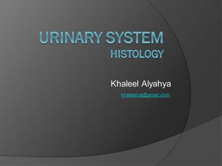 Urinary system Histology