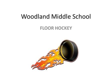 Woodland Middle School FLOOR HOCKEY. POSTIONSSKILLS PASSING PUCK PROTECTION SHOOTING STICK HANDLING TEAM WORK.