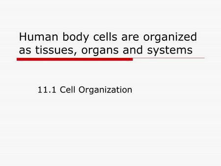 Human body cells are organized as tissues, organs and systems 11.1 Cell Organization.