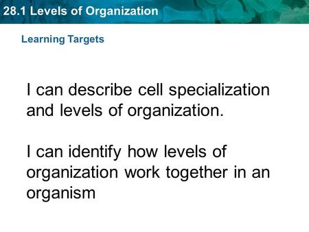 Learning Targets I can describe cell specialization and levels of organization. I can identify how levels of organization work together in an organism.