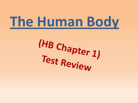 The Human Body (HB Chapter 1) Test Review. Directs the cell’s activities and holds information that controls a cell’s function. nucleus.