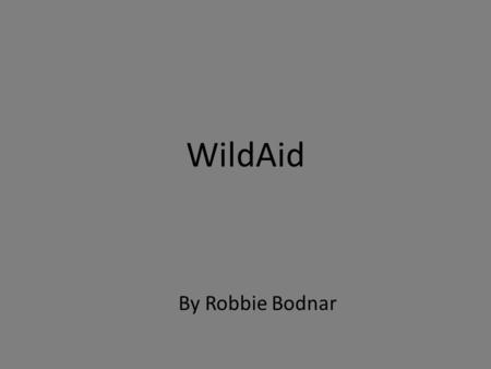 WildAid By Robbie Bodnar. l Non-profit international organization headed by Peter Knights Mission: End illegal wildlife trade within our lifetime They.
