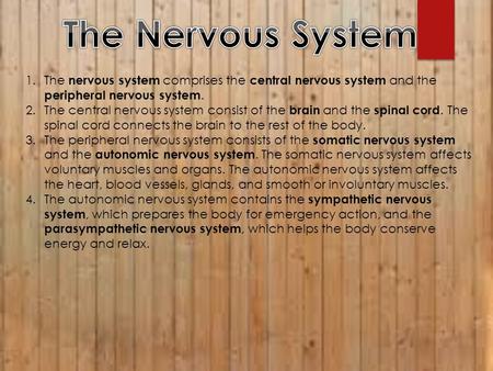 1.The nervous system comprises the central nervous system and the peripheral nervous system. 2.The central nervous system consist of the brain and the.