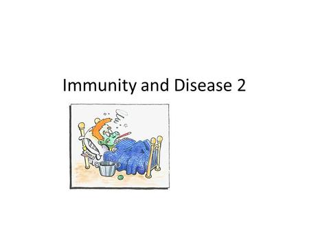 Immunity and Disease 2. Cytotoic T Helper T- (stimulate B cell action)