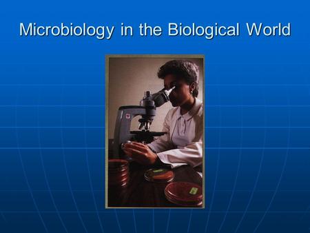 Microbiology in the Biological World. Why study Microbiology? 1. Helps us to understand life forms by understanding ones. 2. of infectious diseases (Small.