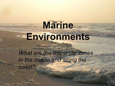 What are the major life zones in the ocean and along the coast?
