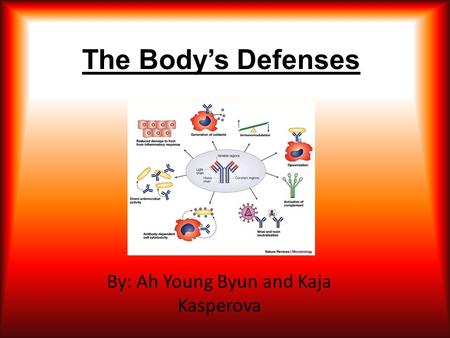 The Body’s Defenses By: Ah Young Byun and Kaja Kasperova.