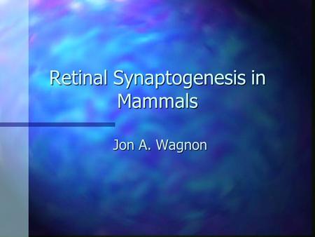 Retinal Synaptogenesis in Mammals Jon A. Wagnon The Human Eye.