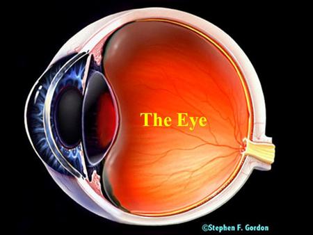The Eye.