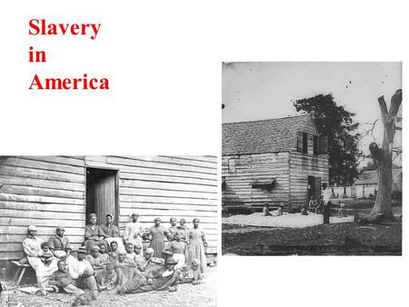 Slavery in America. By 1860 Slaves would out number whites in many areas of the South.