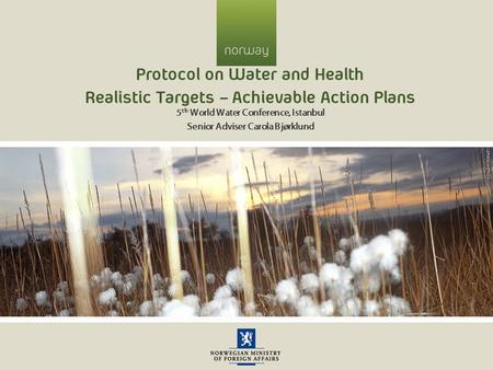Protocol on Water and Health Realistic Targets – Achievable Action Plans 5 th World Water Conference, Istanbul Senior Adviser Carola Bjørklund.