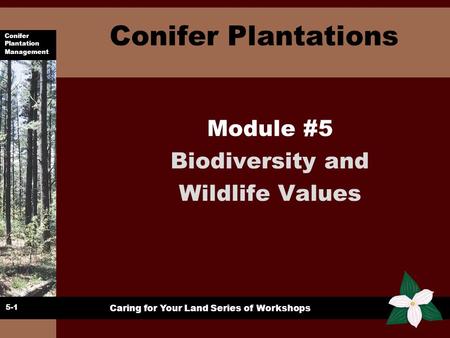 Conifer Plantation Management Caring for Your Land Series of Workshops Conifer Plantations Module #5 Biodiversity and Wildlife Values 5-1.