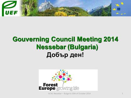 GCM, Nessebar – Bulgaria 10th of October 2014 1 Gouverning Council Meeting 2014 Nessebar (Bulgaria) Nessebar (Bulgaria) Добър ден!