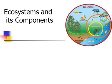 Ecosystems and its Components. What is an ecosystem? An area in which organisms (plants, animals and micro- organisms) interact with each other and with.