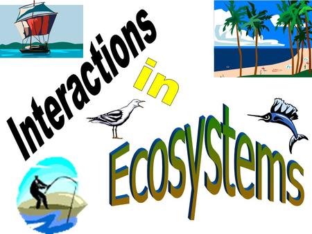 Ecology is the study of the responses & interactions of living things with their environment. The word comes from the Greek word Ecos (home). The habitat.