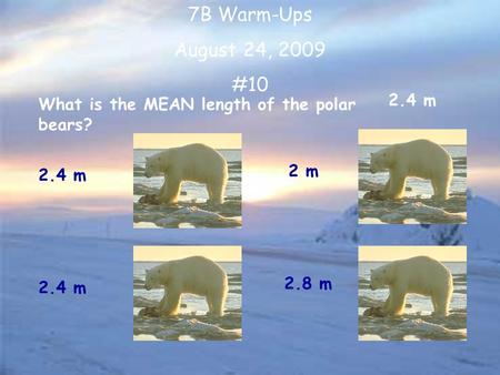 7B Warm-Ups August 24, 2009 #10 What is the MEAN length of the polar bears? 2.4 m 2 m 2.8 m 2.4 m.