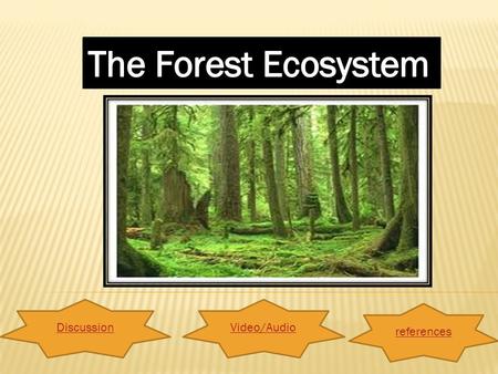 DiscussionVideo/Audio references. What is forest ecosystem? Click HERE for the definitionHERE And what forest ecosystem all about. Click HERE for the.