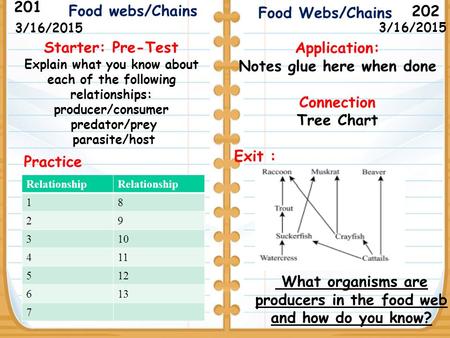 What organisms are producers in the food web and how do you know? Starter: Pre-Test Explain what you know about each of the following relationships: producer/consumer.