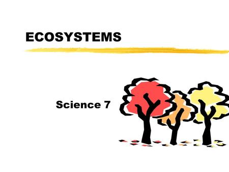 ECOSYSTEMS Science 7 Habitat vs. Niche zProvides needs yFood yWater yShelter yGas used  Food type and how it gets it  Location of home burrow,nest,