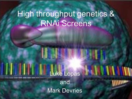 High throughput genetics & RNAi Screens Luke Lopas and Mark Devries.