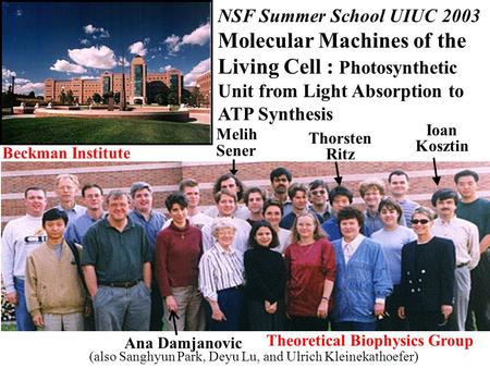 NSF Summer School UIUC 2003 Molecular Machines of the Living Cell : Photosynthetic Unit from Light Absorption to ATP Synthesis Melih Sener Thorsten Ritz.