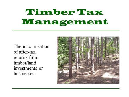 Timber Tax Management The maximization of after-tax returns from timber/land investments or businesses.