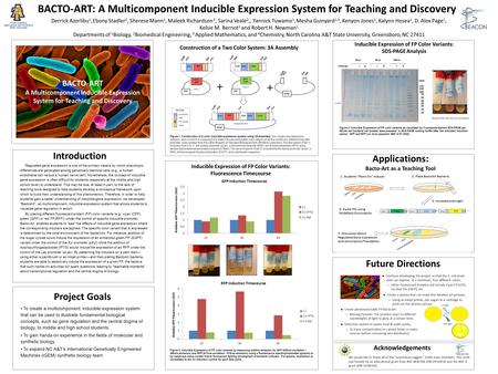 BACTO-ART A Multicomponent Inducible Expression System for Teaching and Discovery Project Goals To create a multicomponent, inducible expression system.